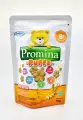 Promina