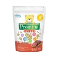 Promina